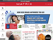 Tablet Screenshot of matrixprofessional.com